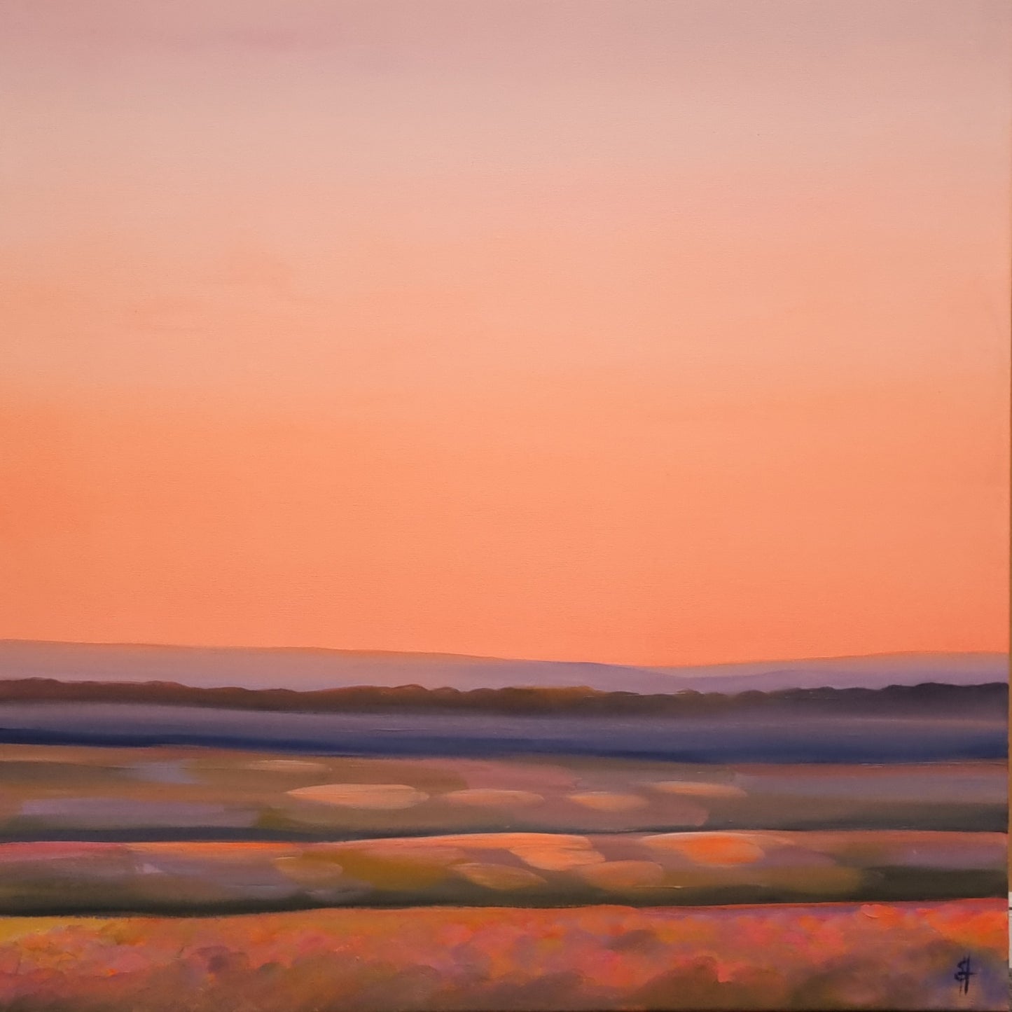 Peachy light over the flowers and fields