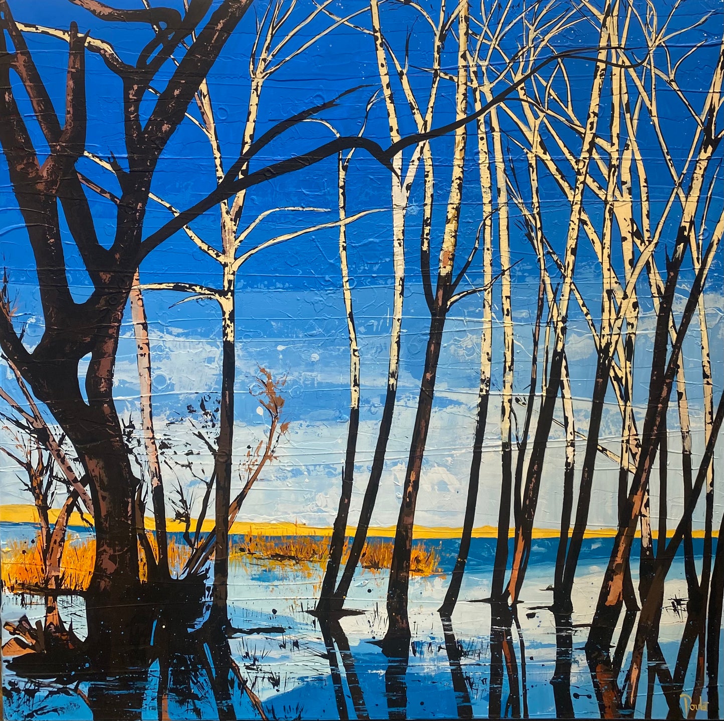 REFLETS DU LAC III