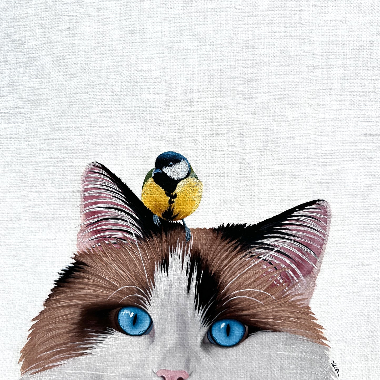 Bird and Cat 22