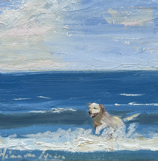 Hond