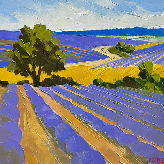 Regard sur la Provence