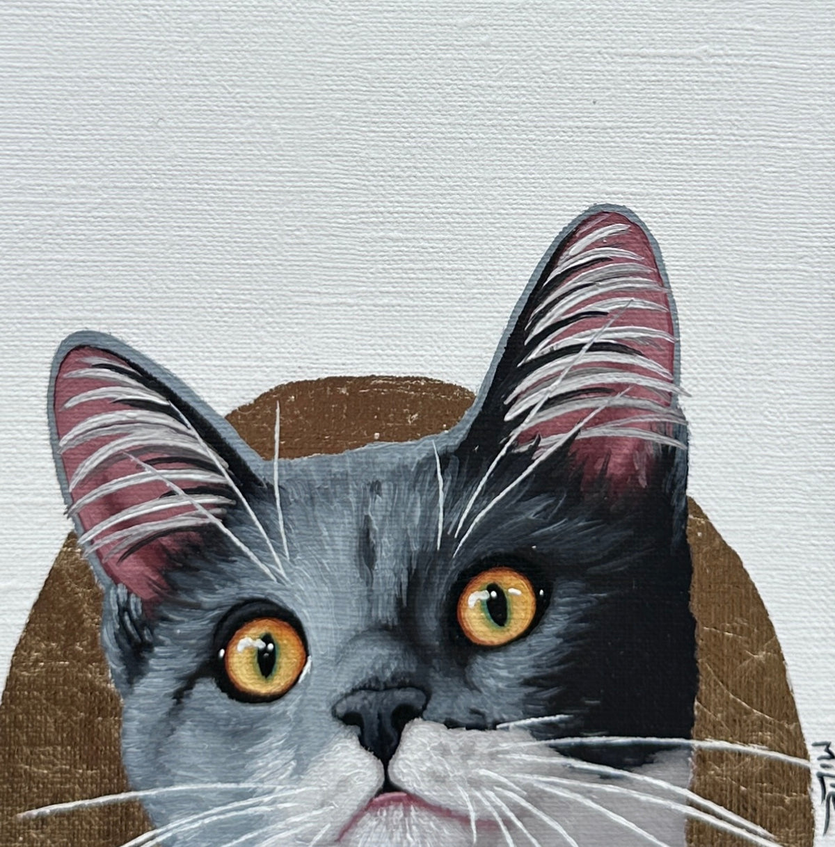 Cat See You 120