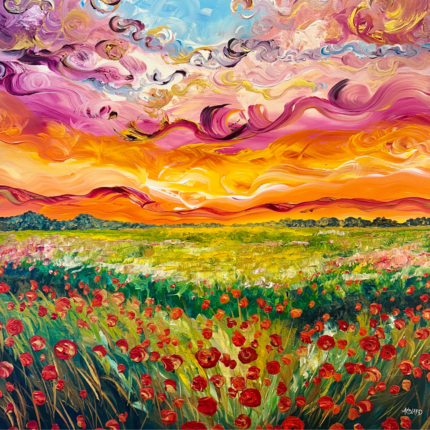 Coquelicots sous un beau coucher de soleil