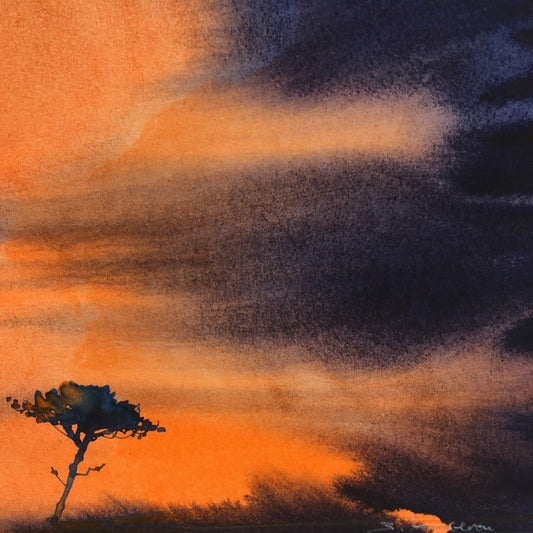 Un pin sous un ciel orangé