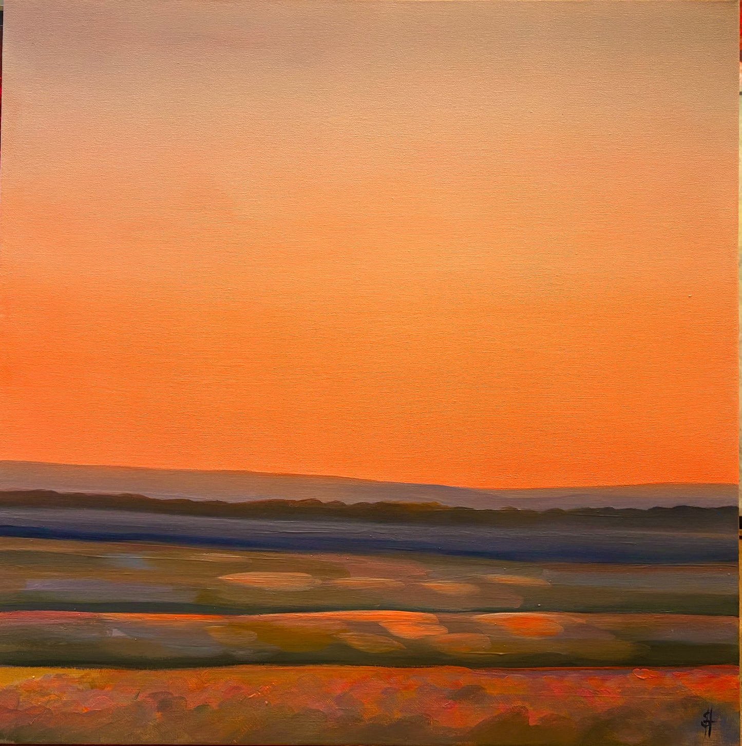 Peachy light over the flowers and fields