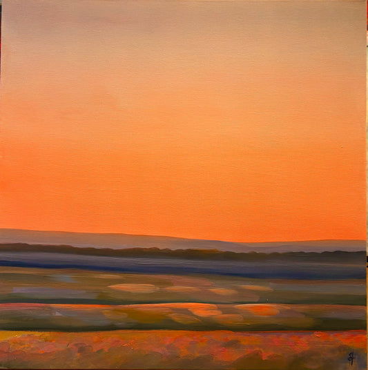 Peachy light over the flowers and fields