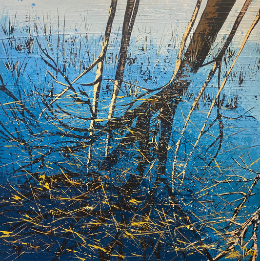 REFLETS DU LAC II