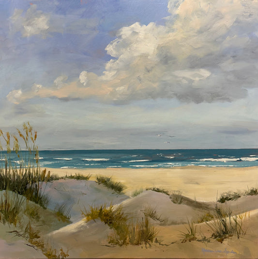 Zee strand duin