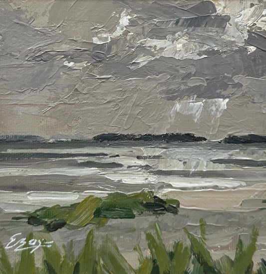 On Terschelling island
