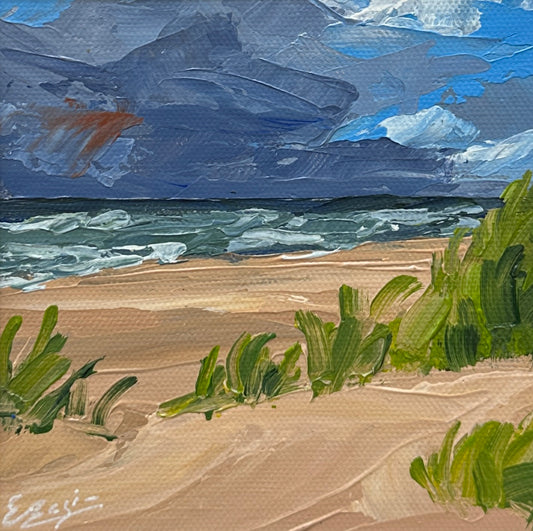Shifting sky over the coast