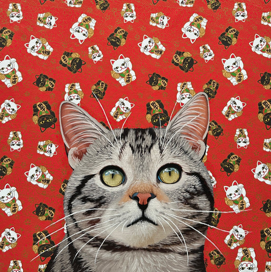 Cat See You 43