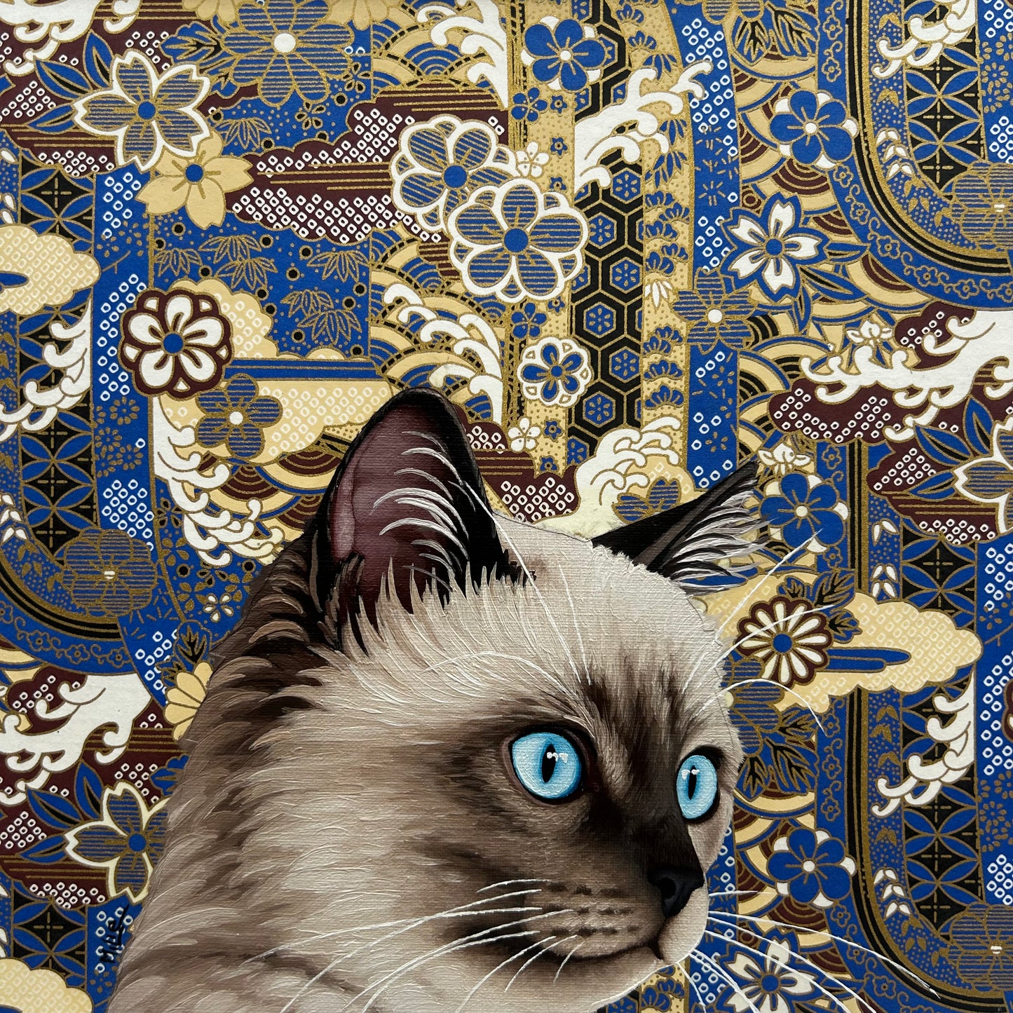 Cat see you 169