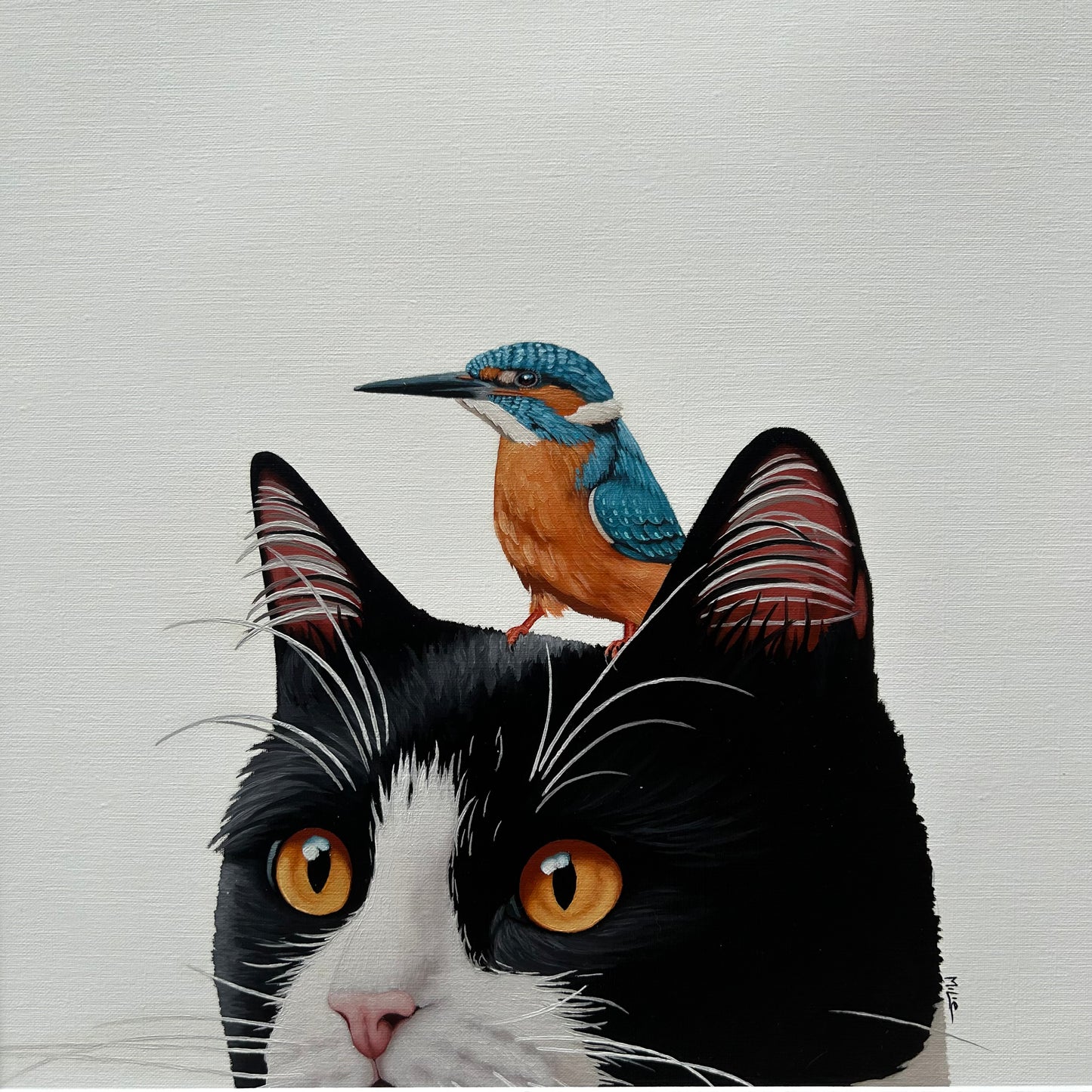 Cat and bird