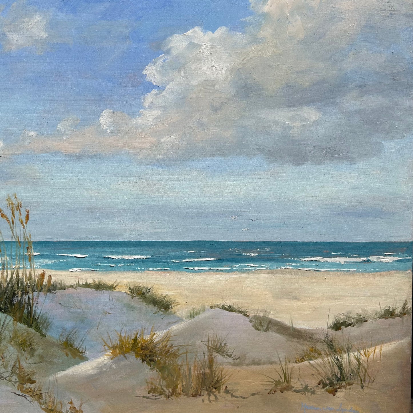 Beach strand dune