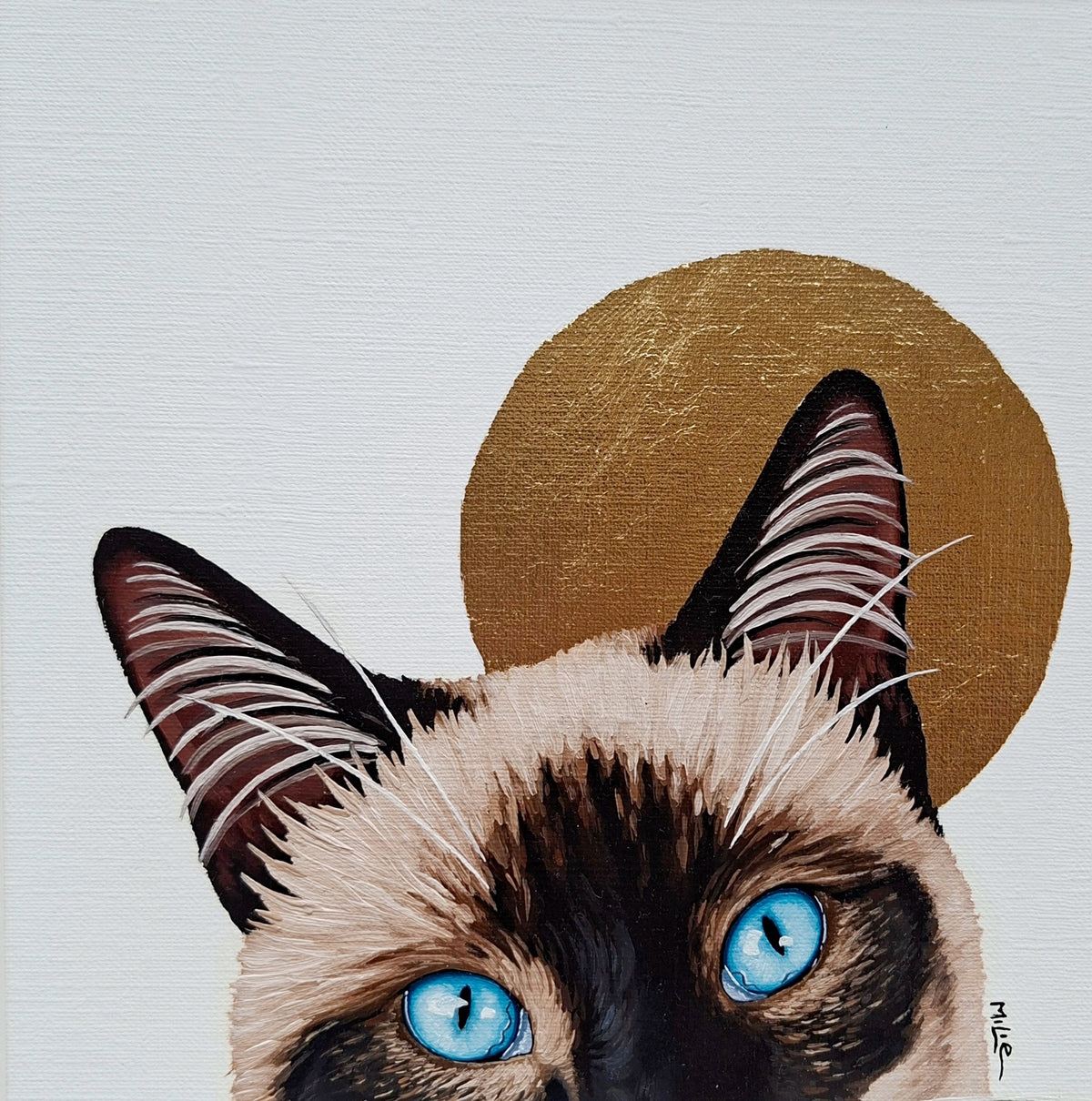 Cat See You 116