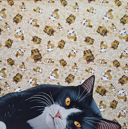 Cat See You 93