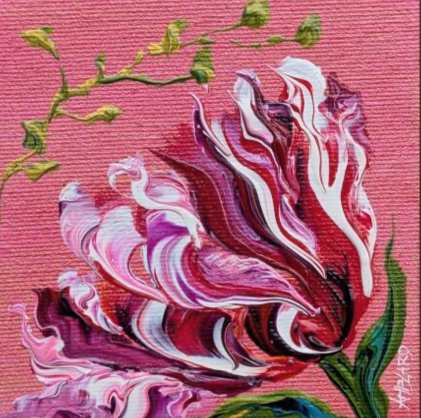 Tulipe sur fond rose