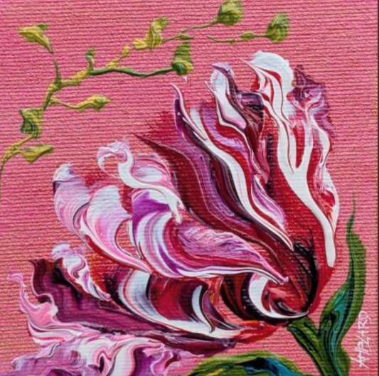 Tulipe sur fond rose