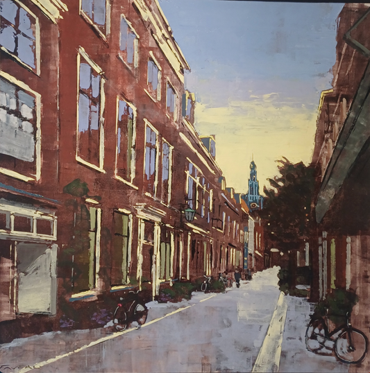 Schagchelstraat Haarlem