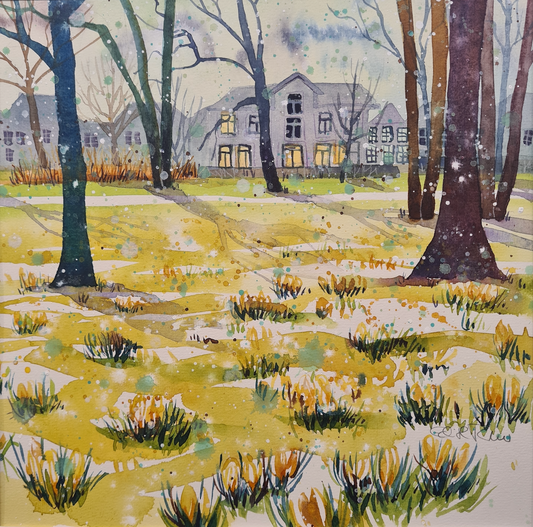 Haarlem Frederikspark Crocus